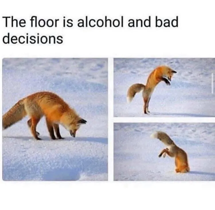 A three-panel image shows a fox in snow: first sniffing the ground, then standing on hind legs with mouth open, then falling…
