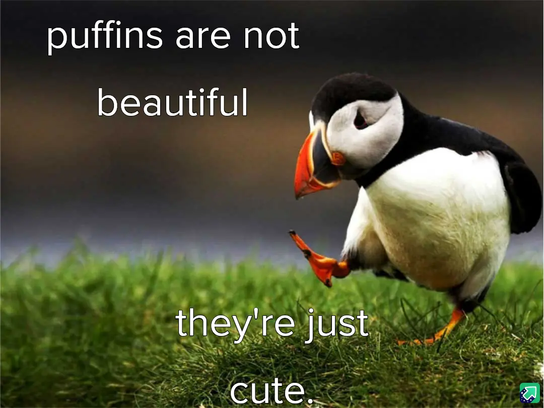 A close-up photograph of a puffin standing on green grass, looking down with its orange beak and feet visible. White text…