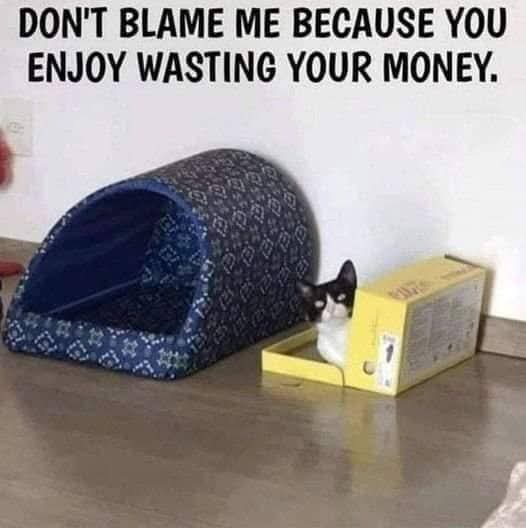 Just Your Average Example of Internet Humor...