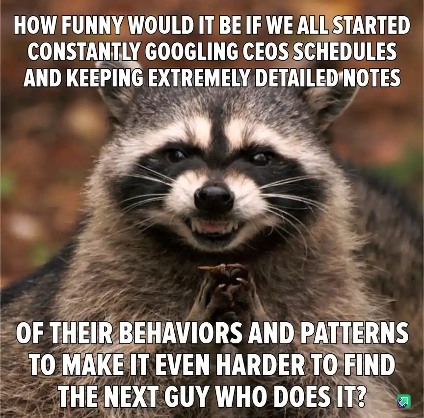 A close-up photo of a raccoon with a smug, self-satisfied expression, its paws clasped together as if in prayer or…