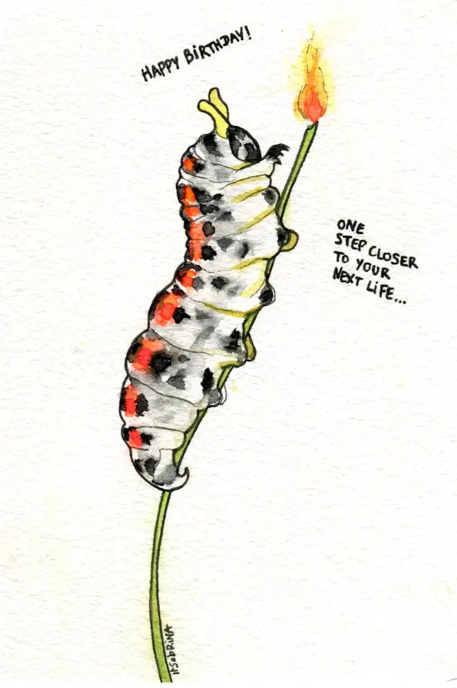 A watercolor drawing of a caterpillar with black, white, and orange markings clinging to a green stem, holding a lit candle…