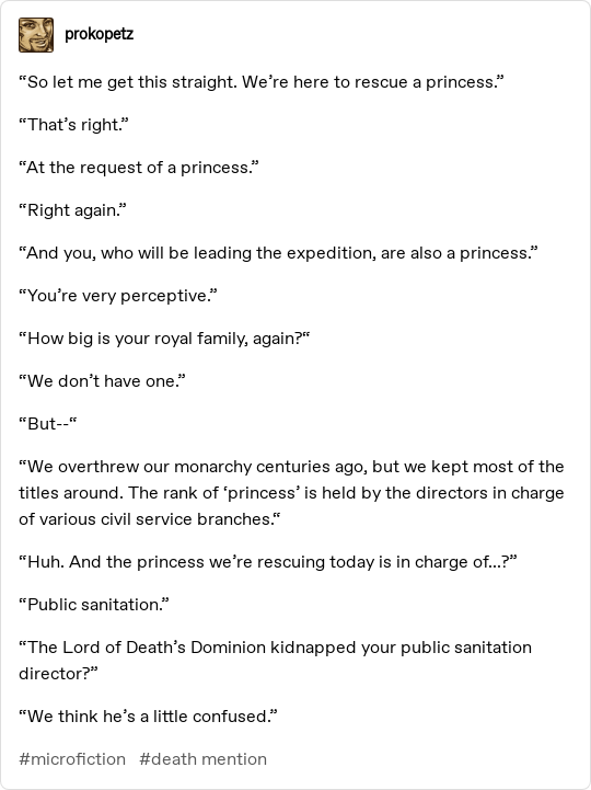 A text-based meme showing a conversation where a group is sent to rescue a 'princess,' only to learn that in this society…