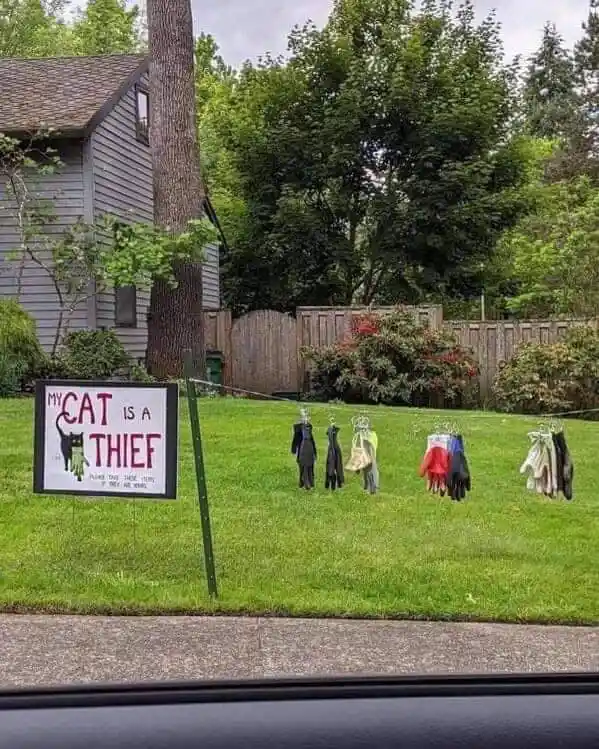 A yard sign reading 'MY CAT IS A THIEF' stands in a grassy lawn, next to a clothesline with several pairs of shoes hanging…