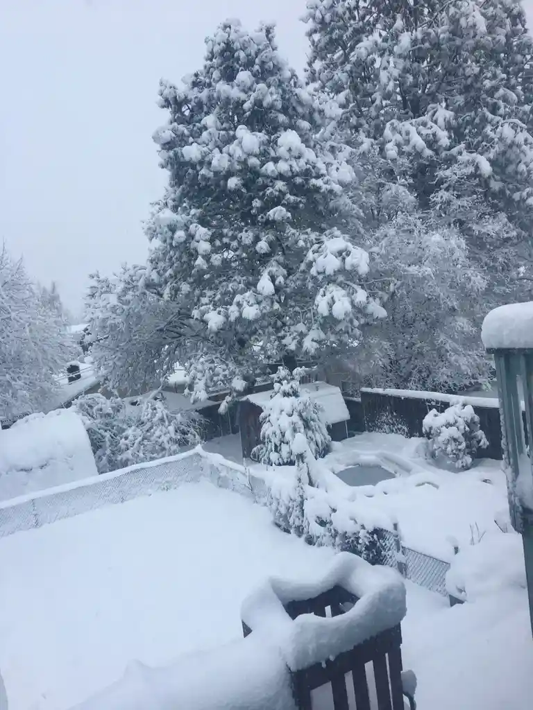 Snowfall is a rare treat around here...