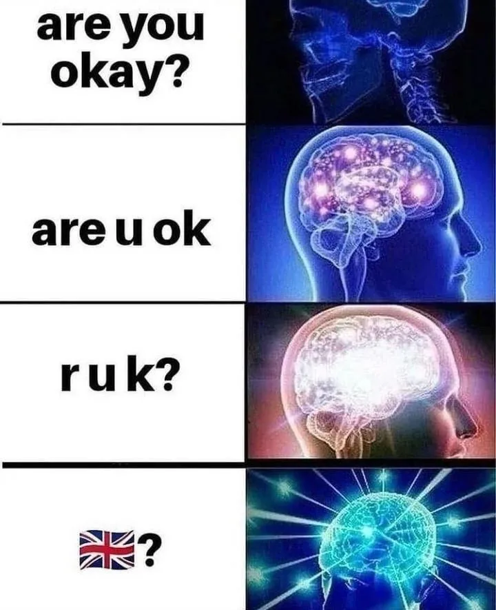 A four-panel meme showing a human head with brain imagery escalating in intensity. The left panels display text asking 'are…