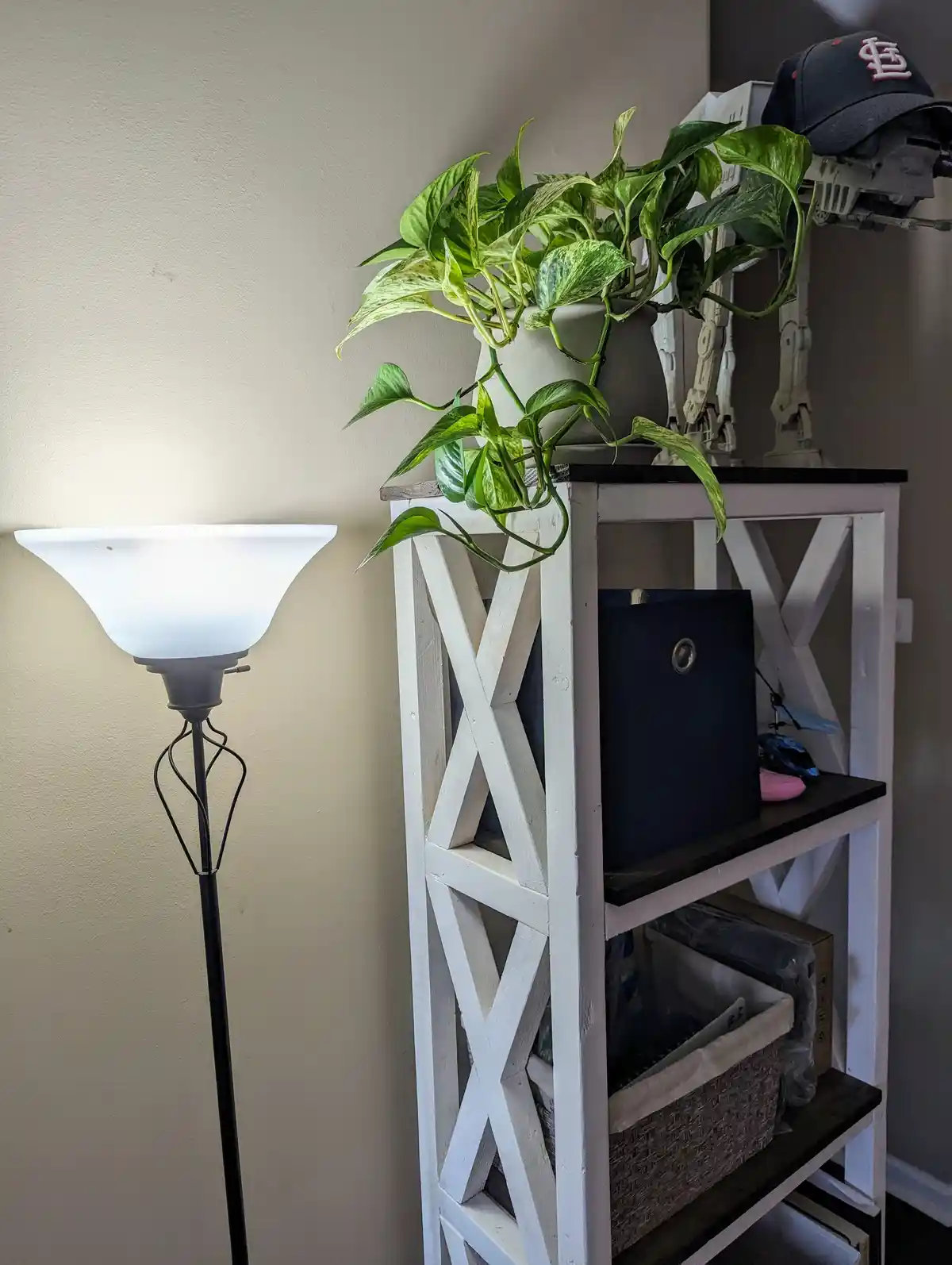 A lush green pothos plant in a gray pot sits atop a white wooden shelf unit next to a lit floor lamp. The plant's vines…