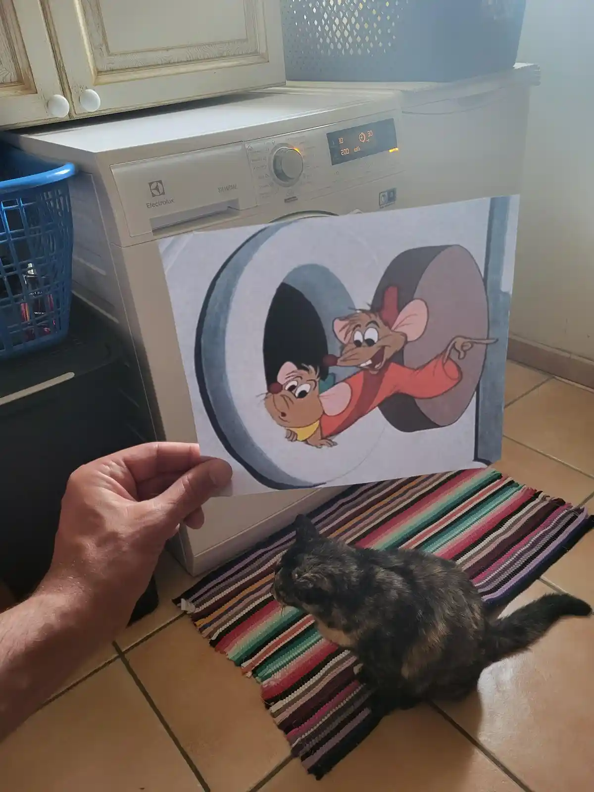A hand holds up a printed image of the cartoon mice from 'The Rescuers' peeking out of a dryer, positioned in front of a…