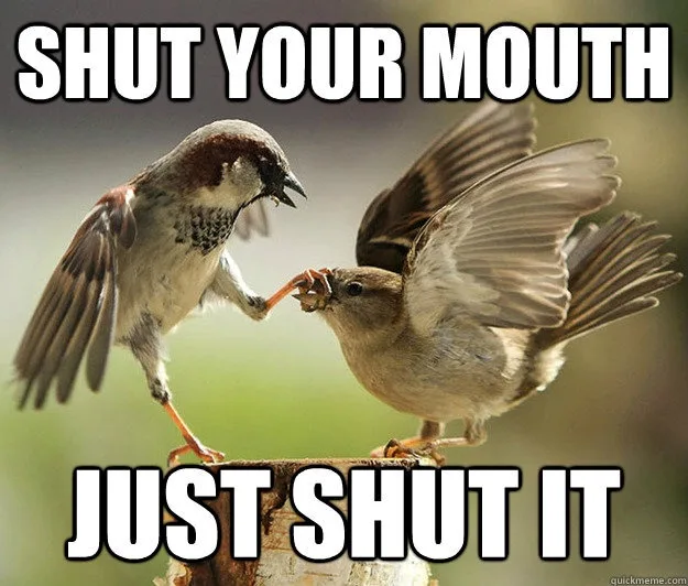 Two sparrows are shown in a confrontational pose, one bird appears to be grabbing the beak of the other with its foot. The…
