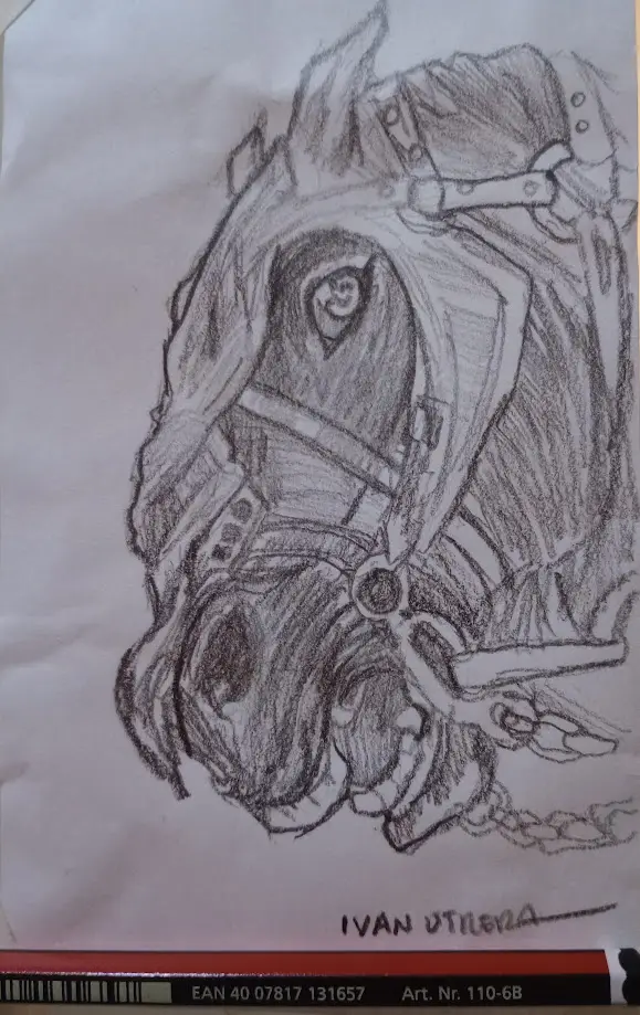 A pencil sketch of a horse's head wearing a bridle and chain, with a small skull drawn inside its eye socket. The artist's…