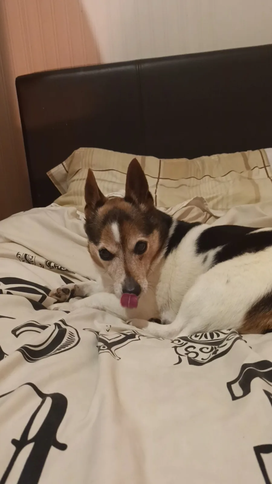 Sticking Our Tongues Out in Playful Defiance