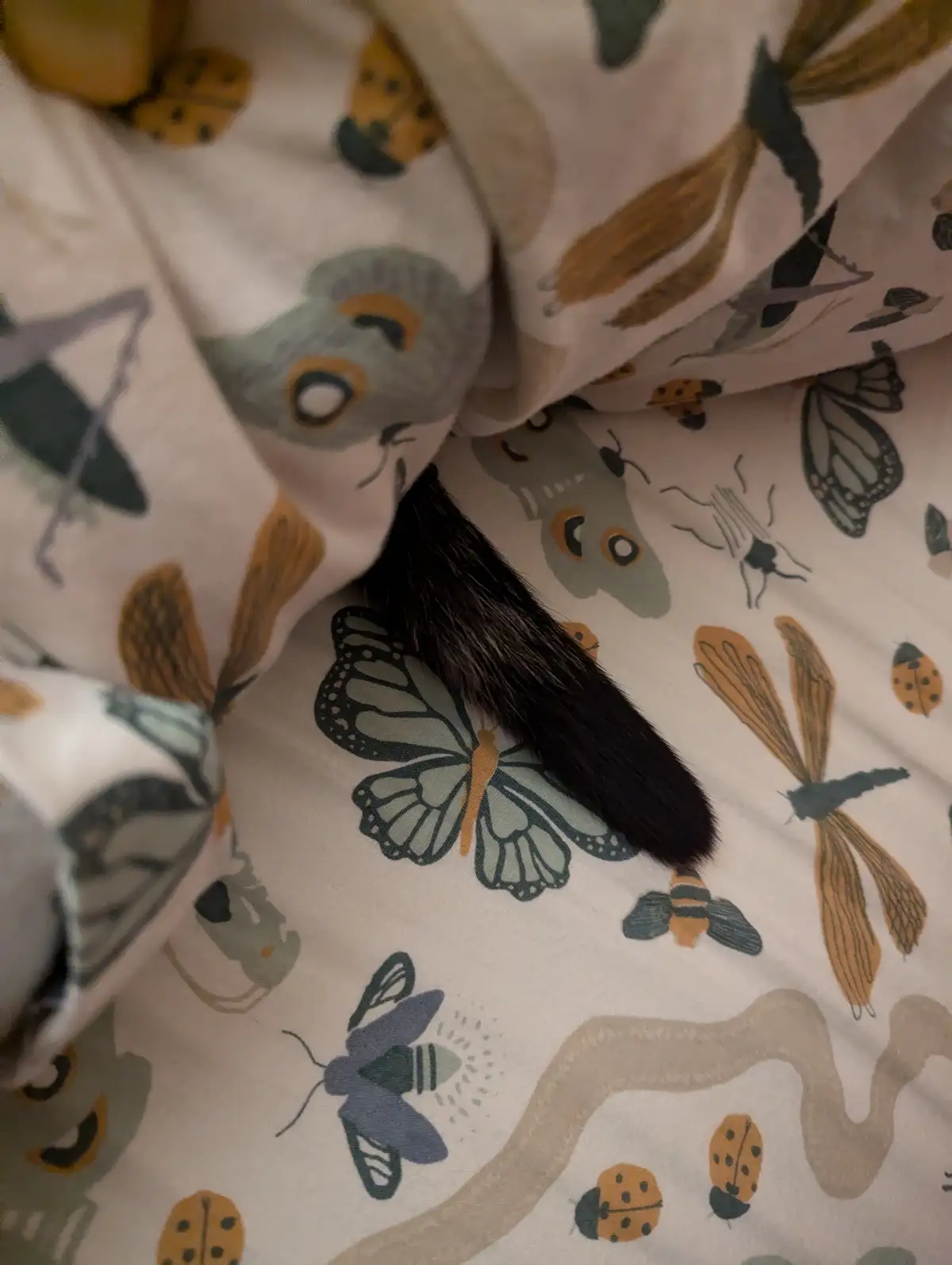 A dark, furry cat tail is sticking out from under a blanket with a pattern of various insects like butterflies, ladybugs…