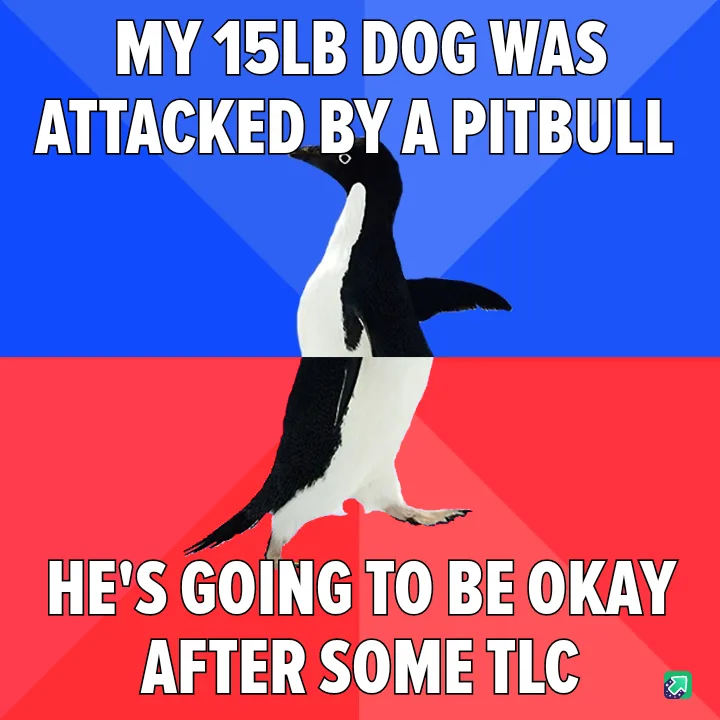 My Dog: A Brave Yet Clueless Hero
