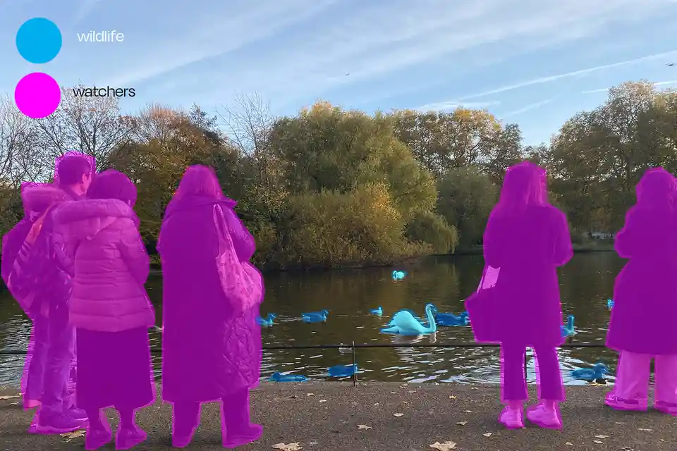 People standing by a pond are highlighted in magenta, while swans and ducks on the water are highlighted in cyan. Text in…