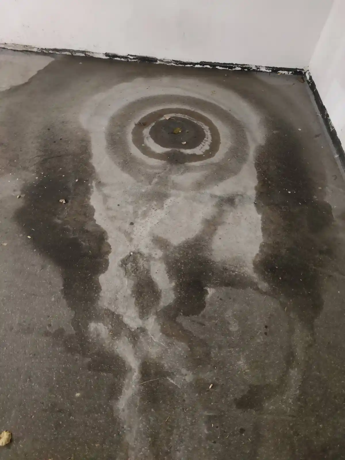 Forget selfies; check out this quirky water stain on the street!