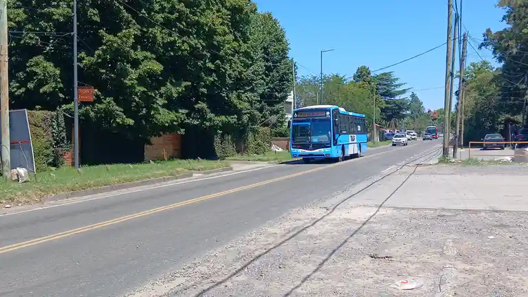 A blue and white public bus, route 338 to La Plata, drives down a tree-lined street under a clear blue sky. The bus is the…