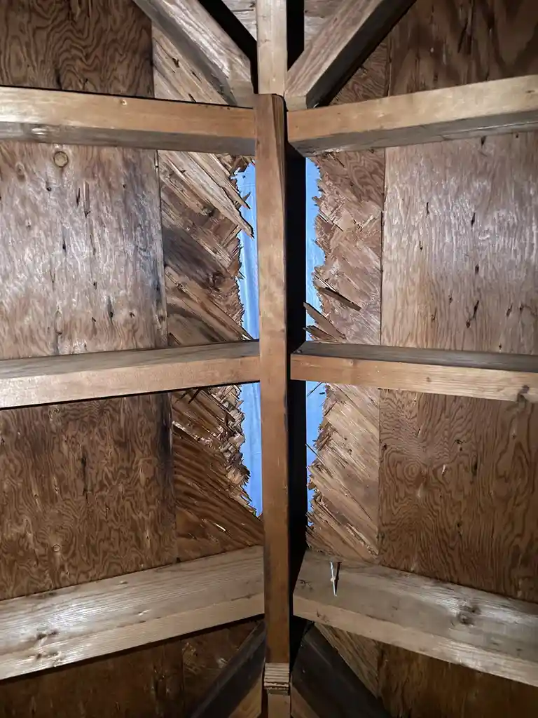 A view looking up at the damaged wooden ceiling of an attic or shed, where plywood panels are torn and jaggedly ripped away…