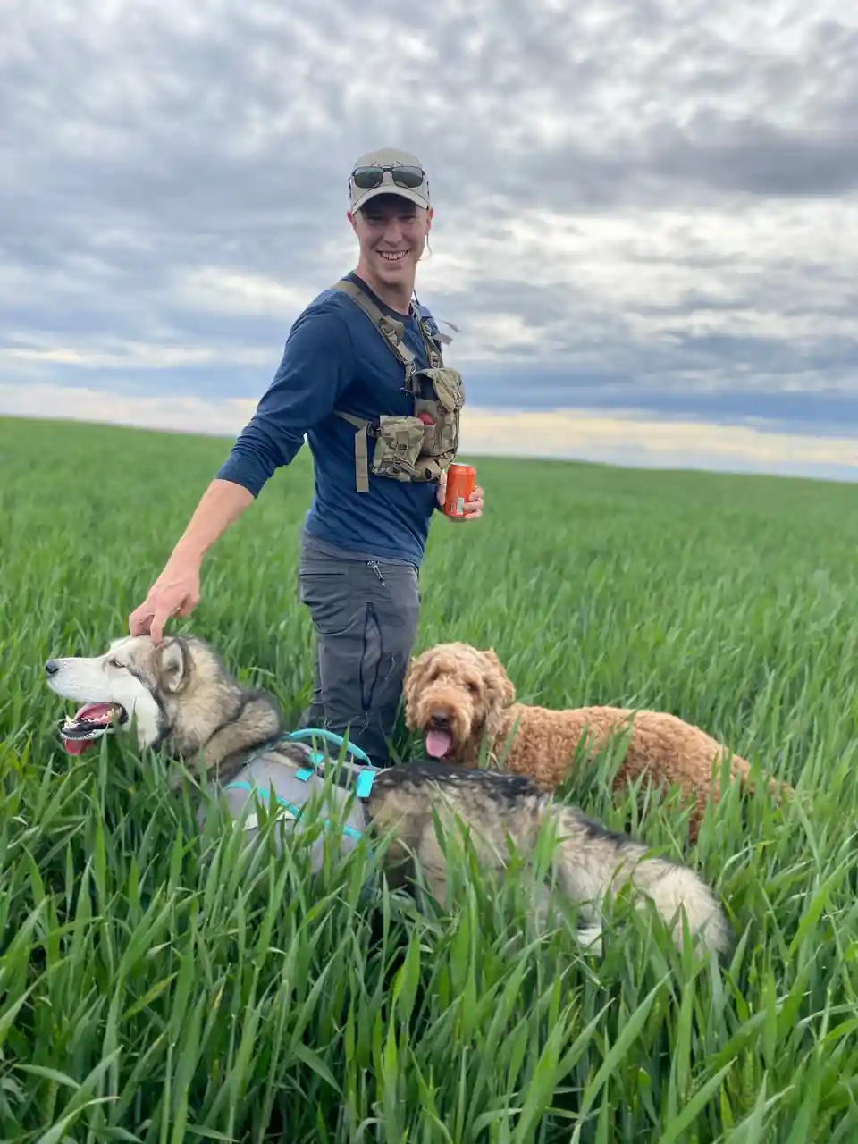 Adorable Dogs Frolicking in the Wheat Fields