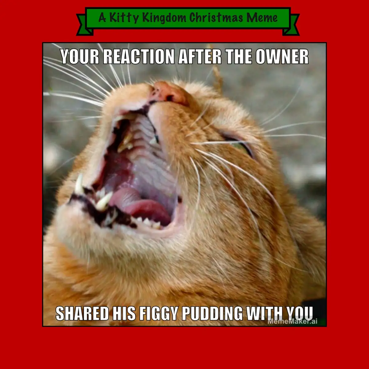 A close-up image of an orange tabby cat with its mouth wide open in a joyful yawn or meow, showing its teeth and tongue. The…