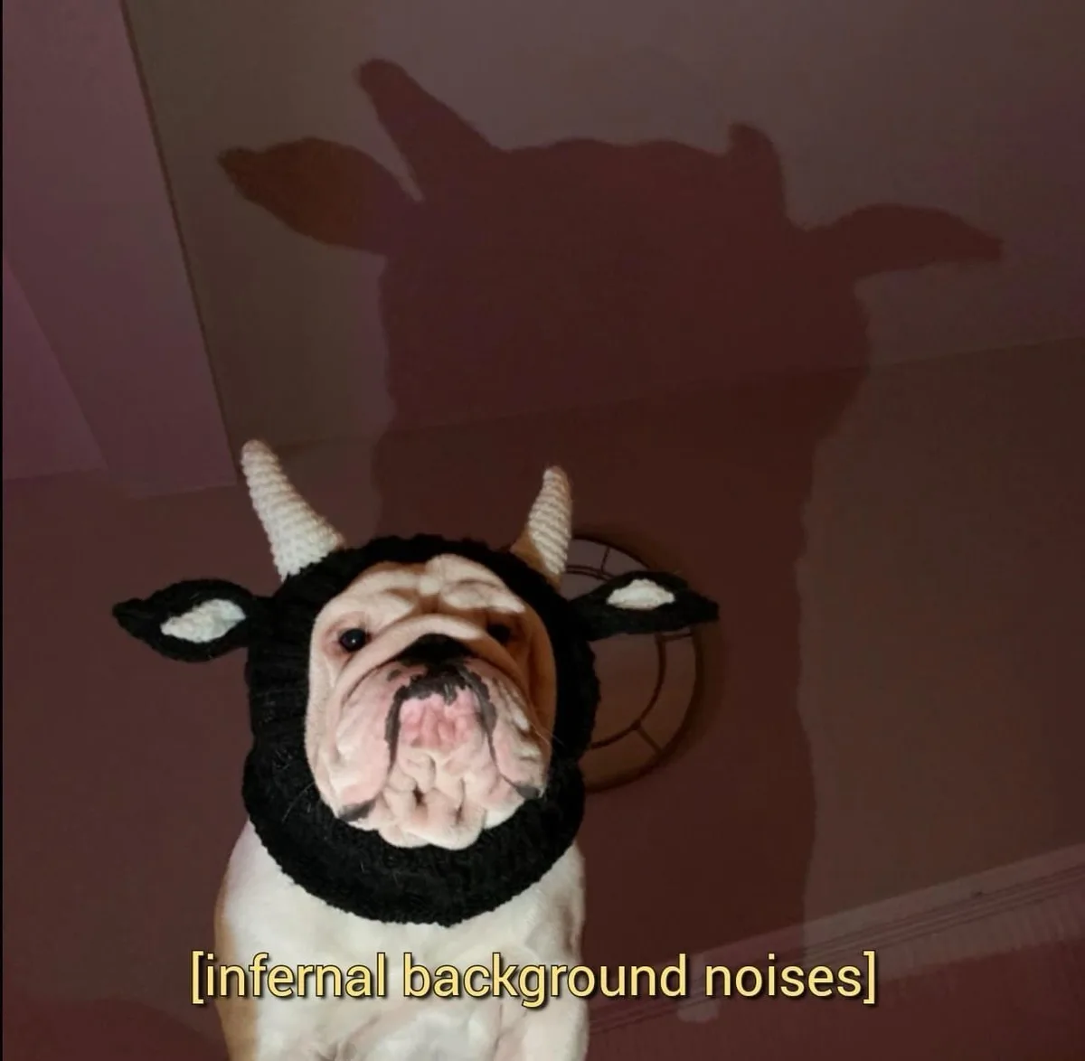A bulldog wearing a black knitted cow hat with white horns and ears sits indoors, casting a large shadow on the wall behind…