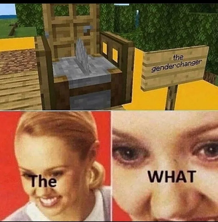 The top panel shows a Minecraft scene with a wooden sign reading 'the genderchanger' next to a structure resembling a…