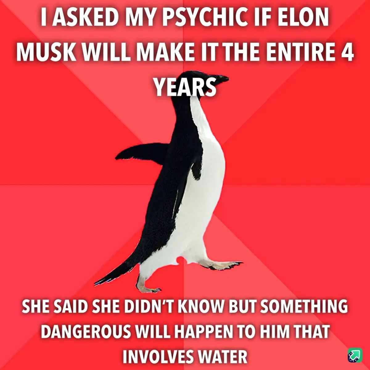 A black-and-white penguin walks against a red background with diagonal stripes. The text at the top reads 'I ASKED MY…
