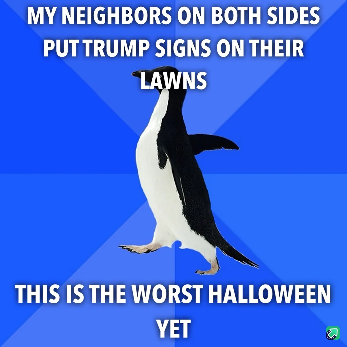 A penguin stands on a blue background with white text overlaid. The text reads: 'MY NEIGHBORS ON BOTH SIDES PUT TRUMP SIGNS…