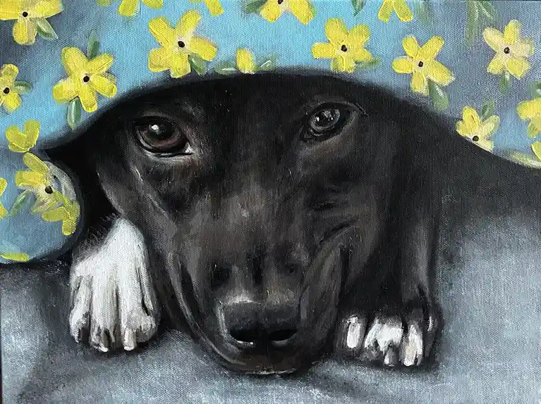 A painting of a black dog with white paws peeking out from under a blue floral-patterned blanket or hood, looking directly…