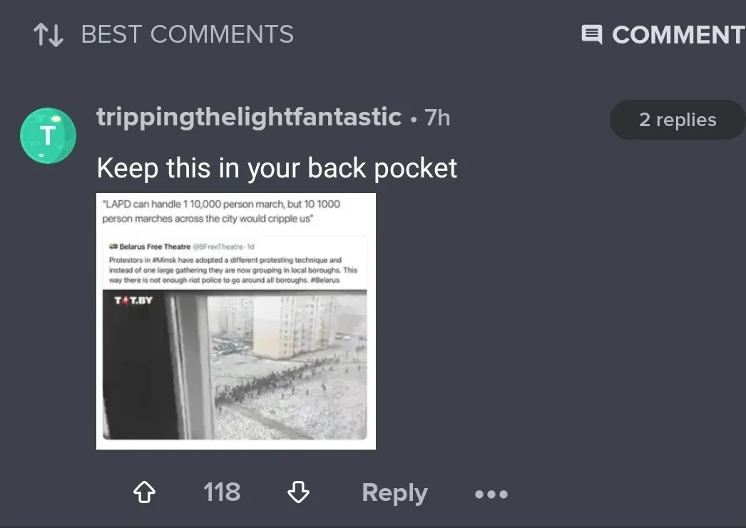 A screenshot of a Reddit comment by user 'trippingthelightfantastic' with 118 upvotes. The comment includes a screenshot of…