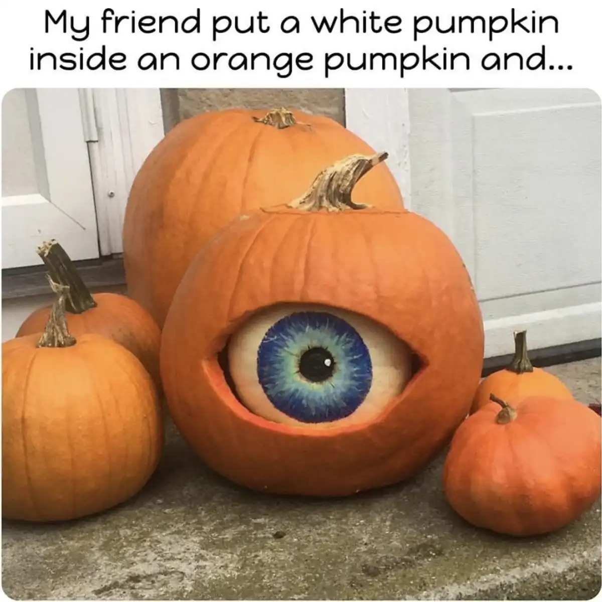 An orange pumpkin has a large, realistic blue human eye inserted into its side, creating a surreal, spooky effect…