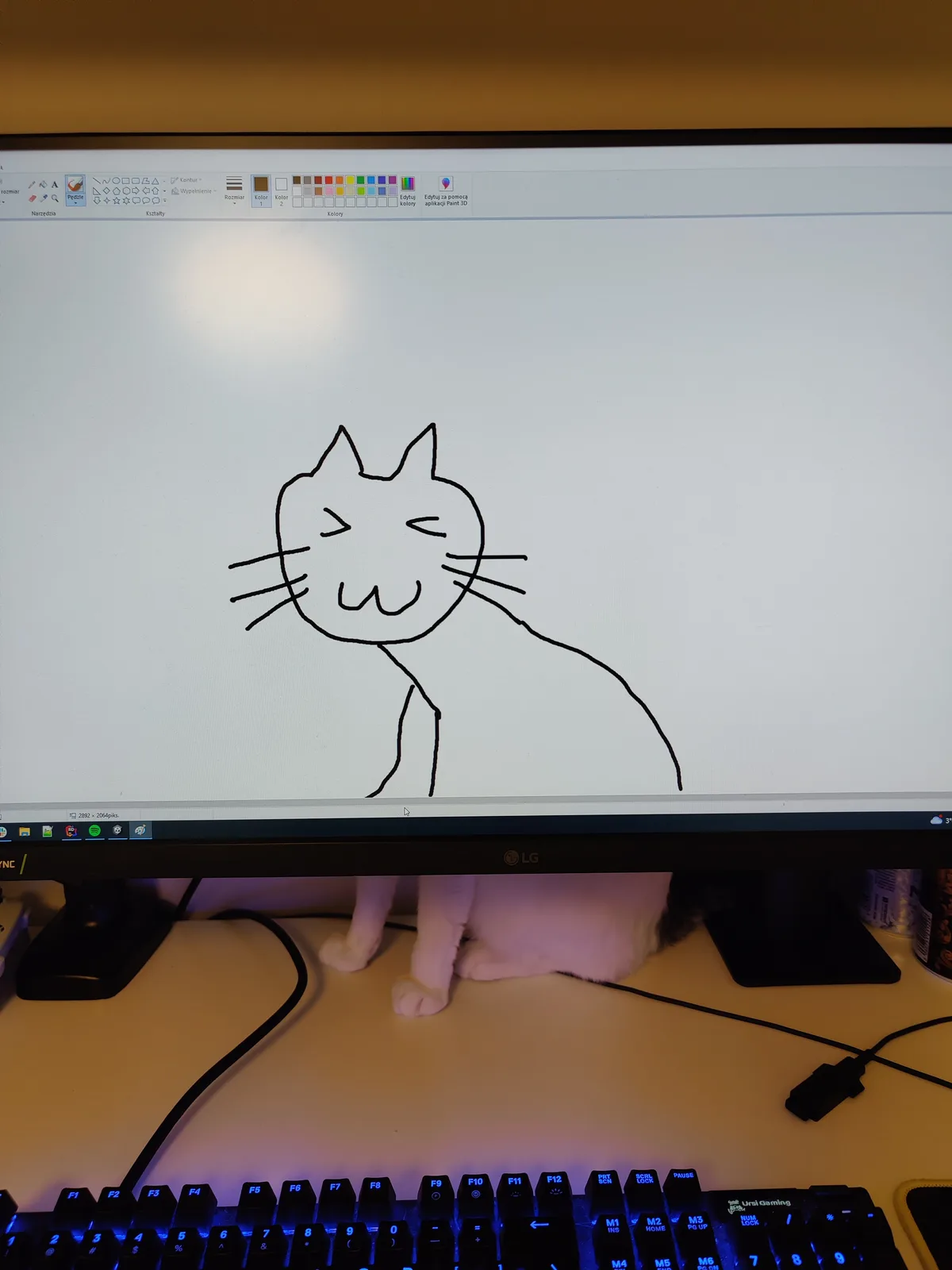 A simple black-line drawing of a cat with closed eyes and a smile is shown on a computer monitor running Microsoft Paint…
