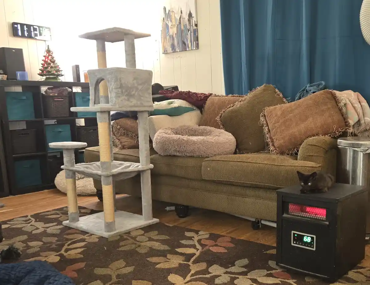 A small black kitten sits atop a black space heater displaying a green digital readout of '68'. The heater is positioned on…
