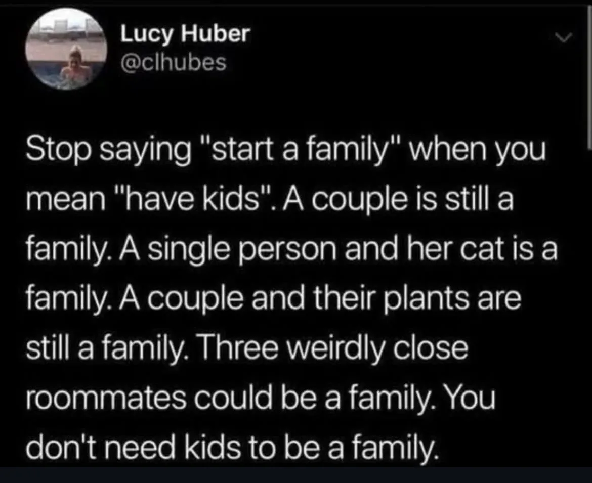 A screenshot of a tweet by Lucy Huber (@clhubes) with white text on a black background. The tweet argues that 'family' can…
