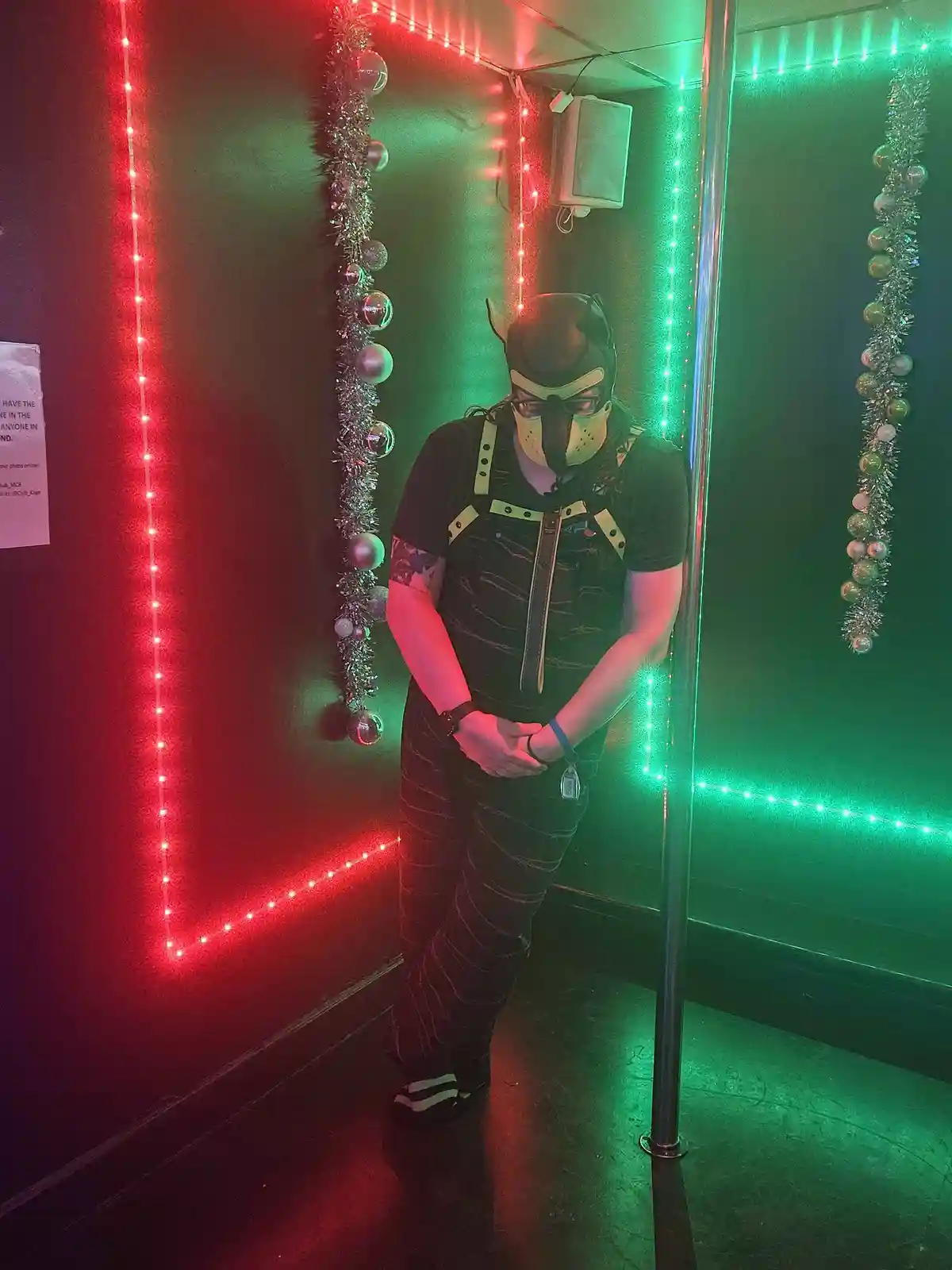 A person wearing a horned mask and a face covering stands in a dimly lit, festive photo booth with red and green LED lights…