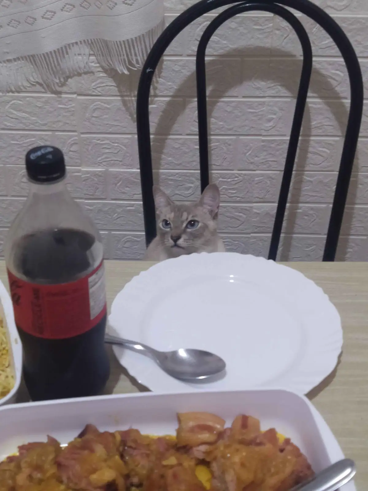A light-colored cat with striking blue eyes sits behind a dining table, peeking over the back of a black metal chair. In…
