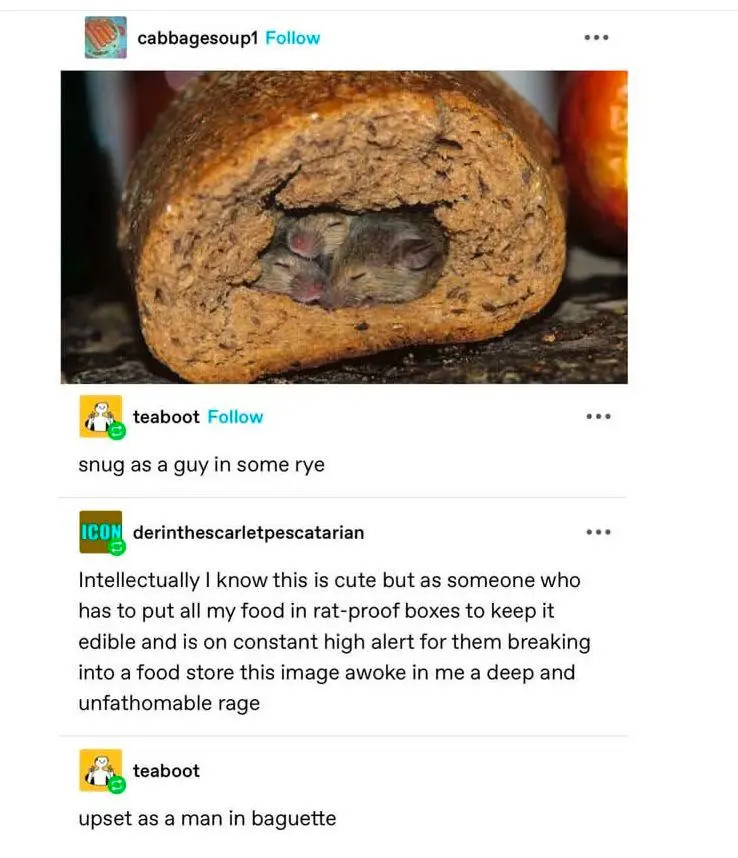 A close-up photo shows two small mice curled up and sleeping inside a hollowed-out loaf of dark rye bread. The bread has a…