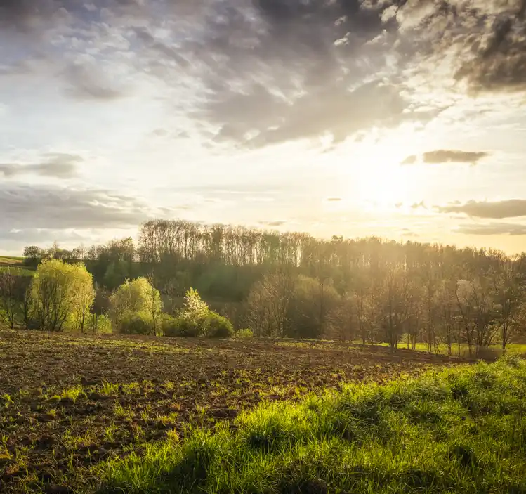 A scenic landscape photo of a field with green grass in the foreground, tilled earth, and trees under a cloudy sky with…