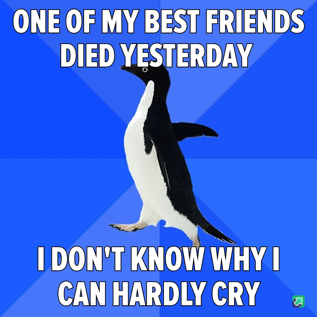 A black-and-white penguin stands against a blue background with bold white text. The top text reads 'ONE OF MY BEST FRIENDS…