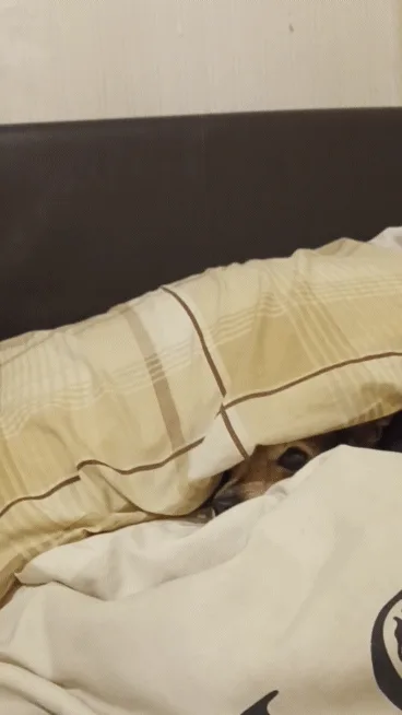 A person is partially hidden under a white duvet and a yellow patterned pillow on a bed with a dark headboard. The person's…