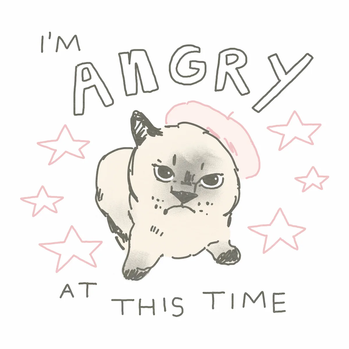 A hand-drawn illustration of a small, round, angry-looking cat with a pink mohawk and a scowl, surrounded by pink outlined…