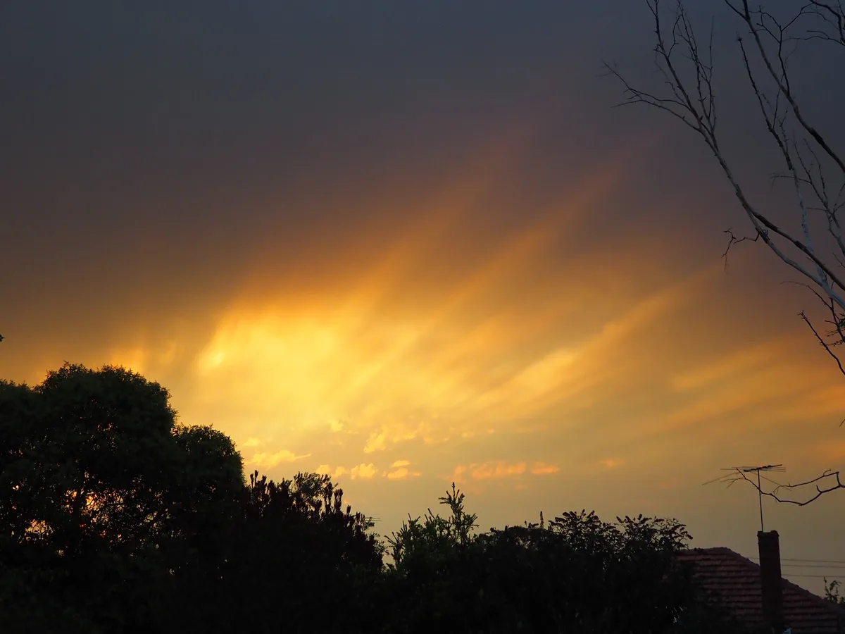 A dramatic sunset or sunrise with golden-orange rays breaking through dark clouds, silhouetting trees and rooftops. The…