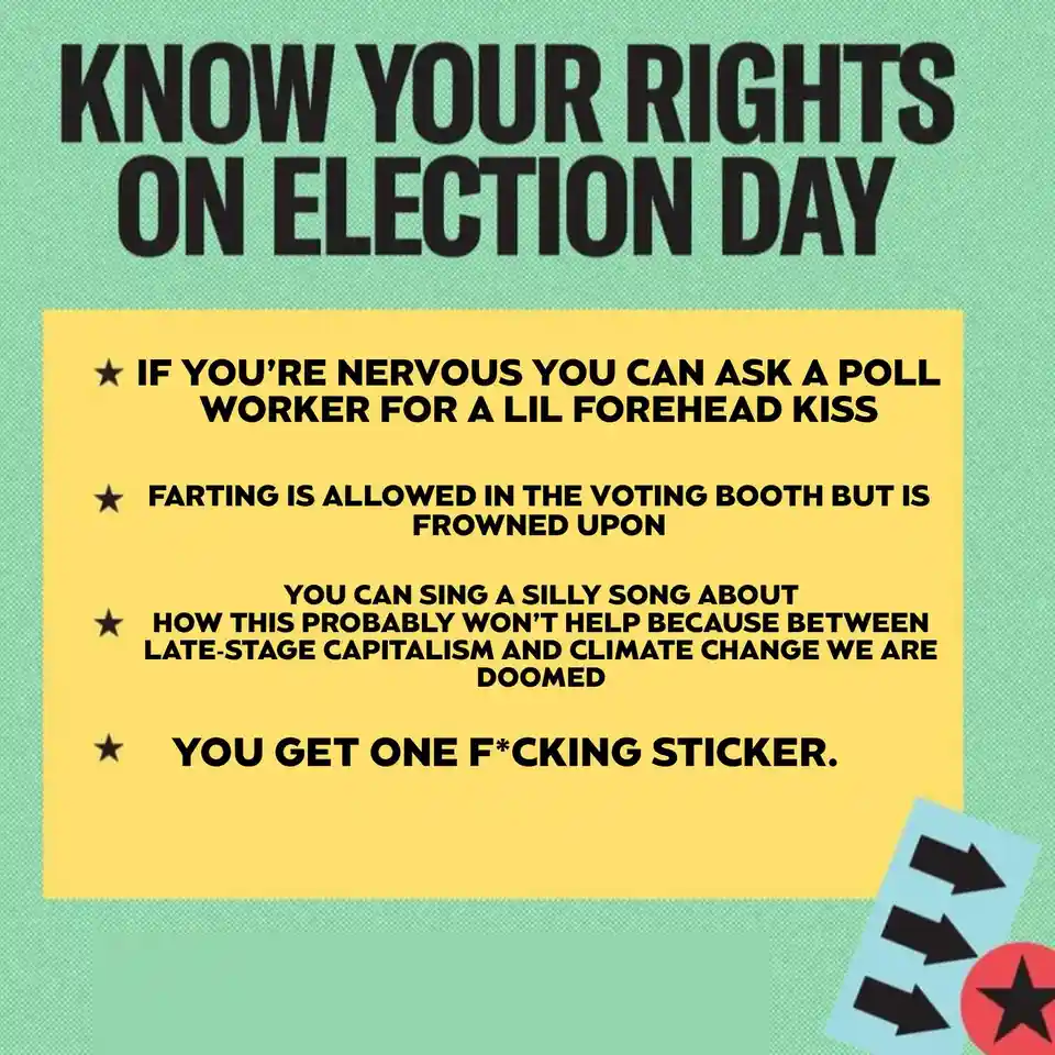 A green background with bold black text at the top reads 'KNOW YOUR RIGHTS ON ELECTION DAY'. Below, a yellow box lists four…