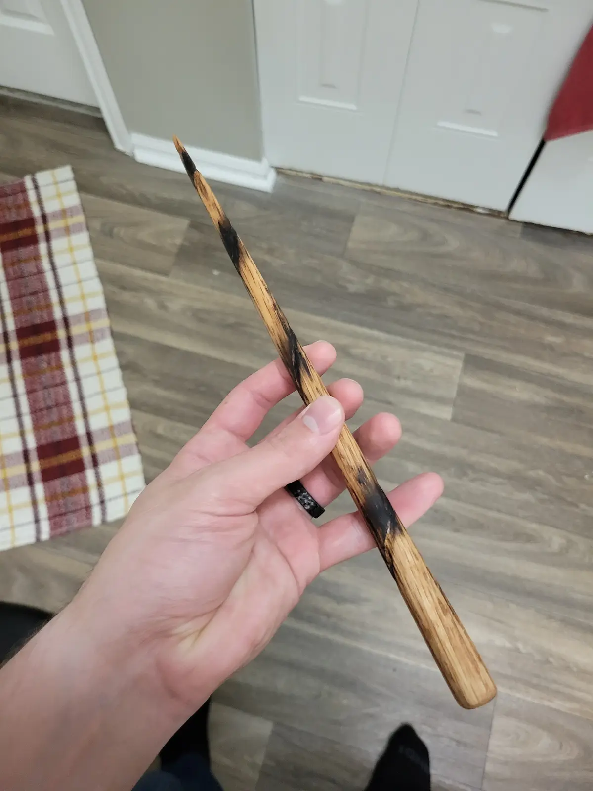 I Just Made a Magical Wand, Can You Believe It?