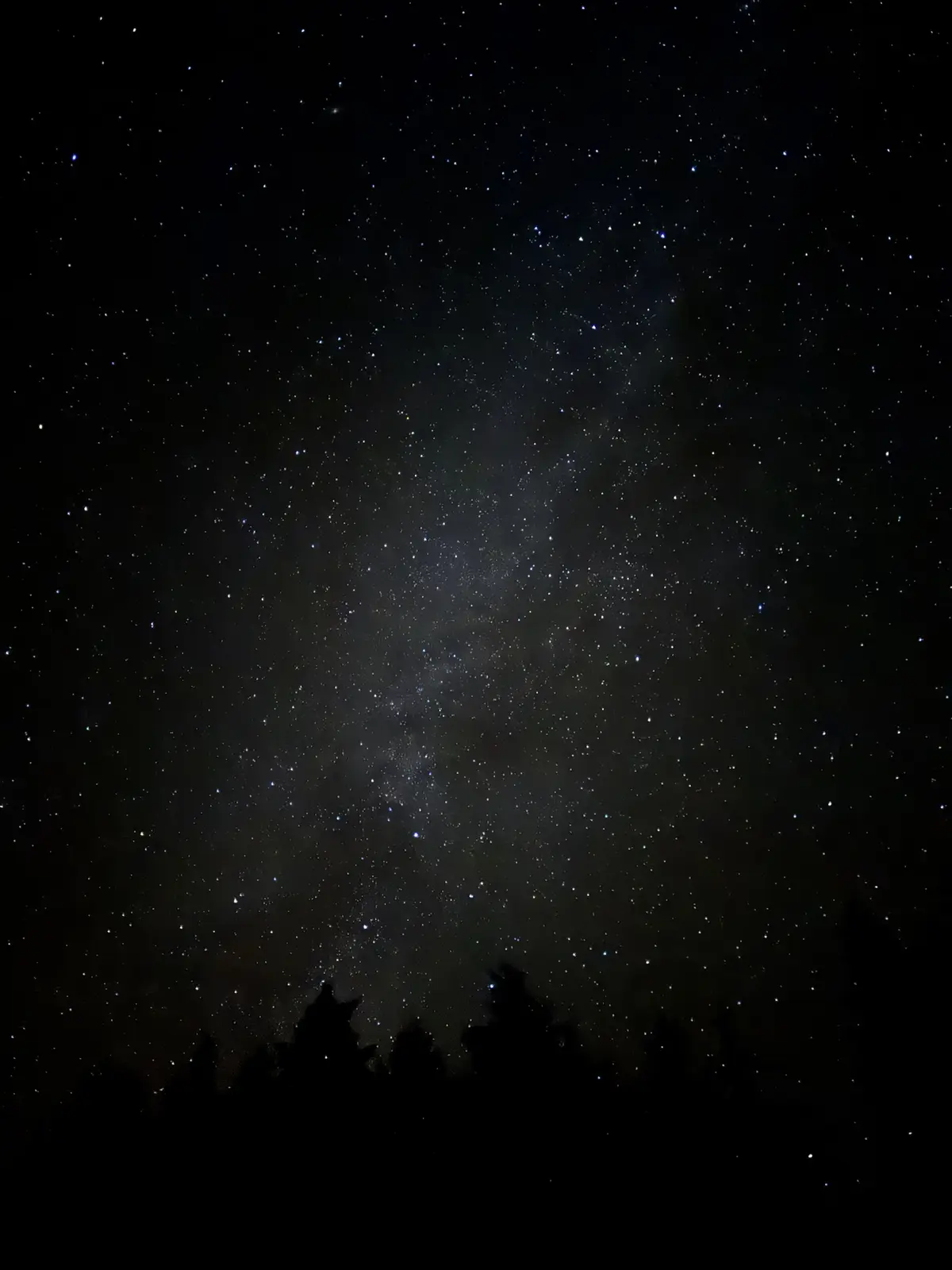 A PNW Twist on Starry Night
