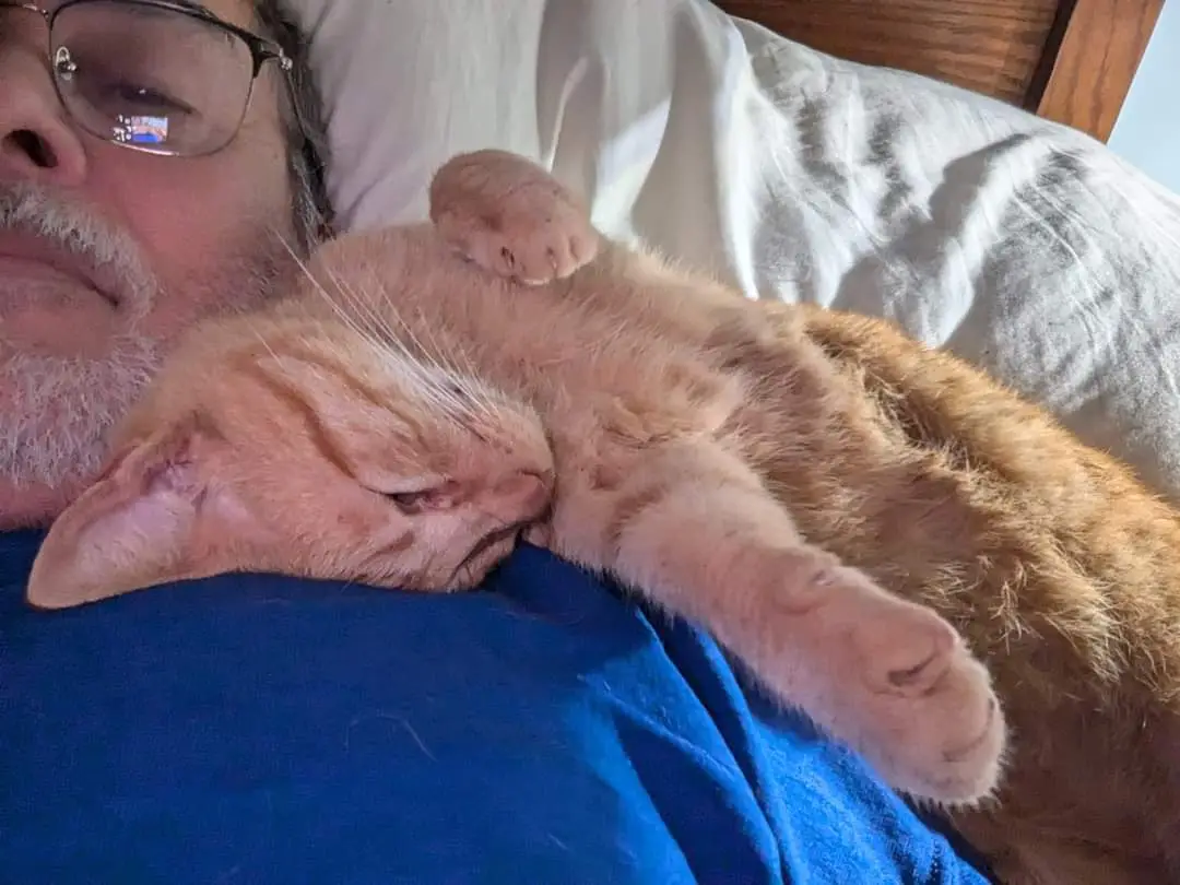 A man with glasses and a beard lies in bed wearing a blue shirt, with an orange tabby cat curled up asleep on his chest. The…