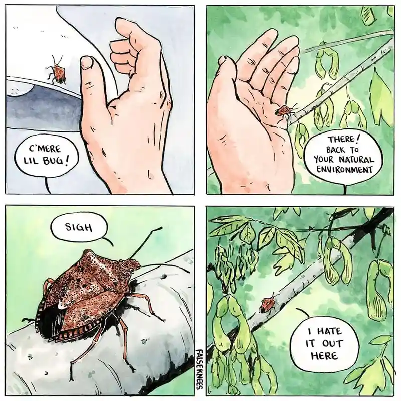 A four-panel comic shows a person gently placing a small brown bug onto a tree branch, declaring it's back to its 'natural…