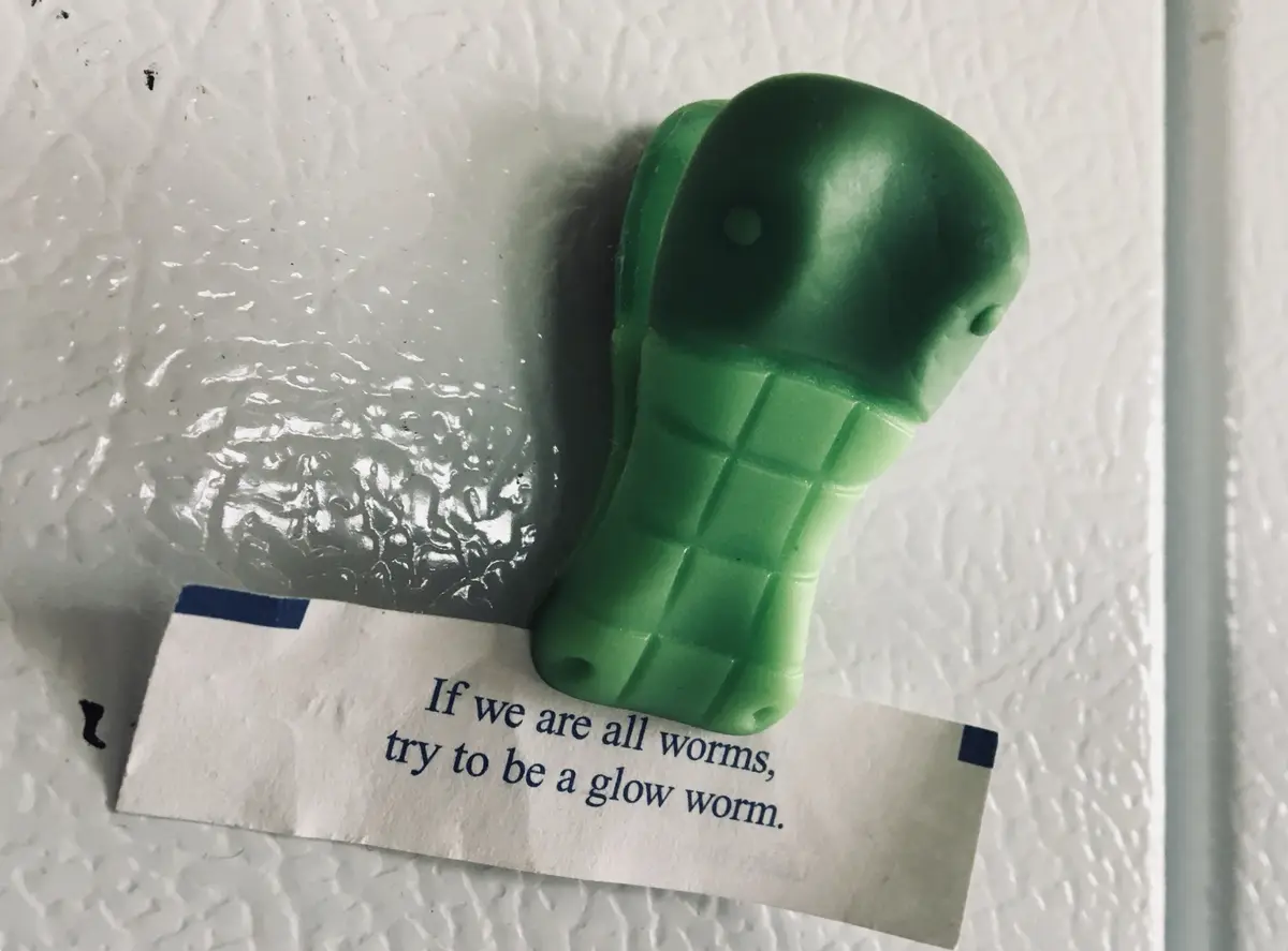 A green, plastic, worm-shaped toy rests on a crumpled fortune cookie slip that reads 'If we are all worms, try to be a glow…