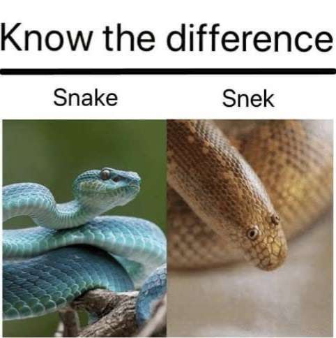The image displays two side-by-side photos of snakes, one blue and one brown, with the text 'Know the difference' at the…