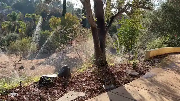 A sunny outdoor garden scene with multiple sprinklers actively spraying water in arcs across the dry, mulch-covered ground…