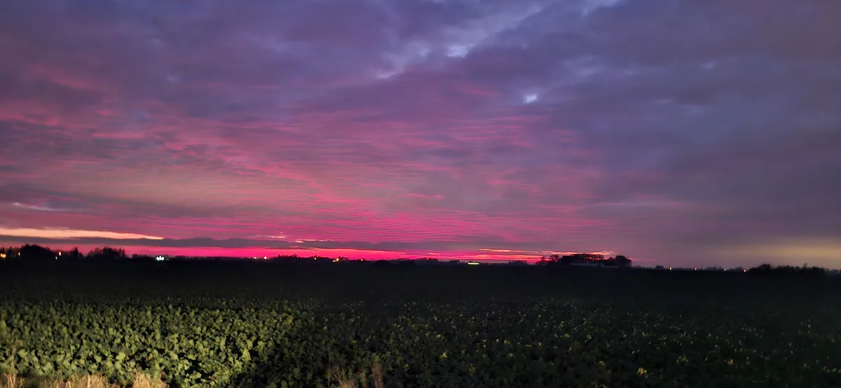 A wide-angle photograph captures a dramatic, colorful sunset over a dark field of crops. The sky is filled with vibrant…