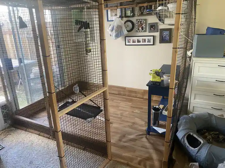 A large, homemade wire cage with wooden framing stands in a room, partially enclosing a space with a blue table holding a…